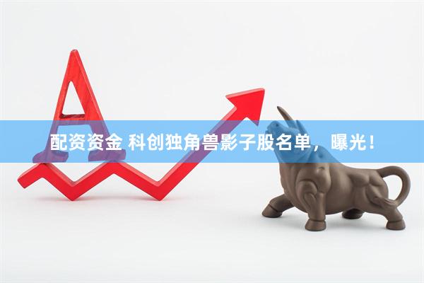 配资资金 科创独角兽影子股名单，曝光！