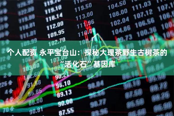 个人配资 永平宝台山：探秘大理茶野生古树茶的“活化石”基因库